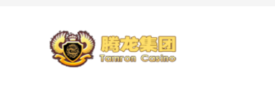 腾龙公司官网